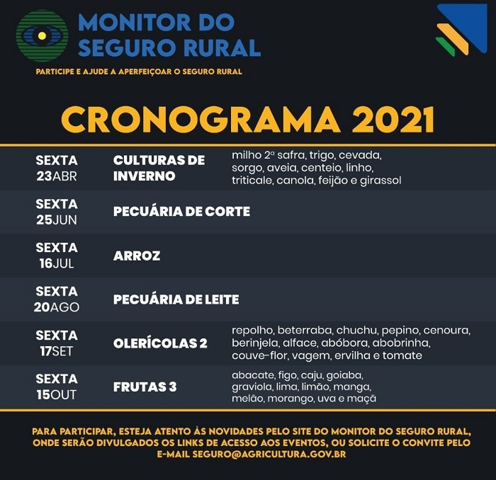 Cronograma MSR