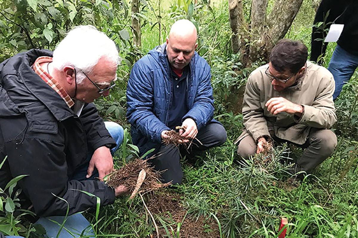 Curso florestal