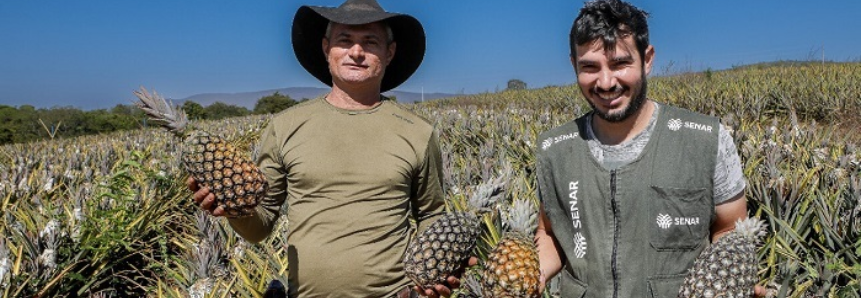 Descascar abacaxi? Só se for para saborear a fruta