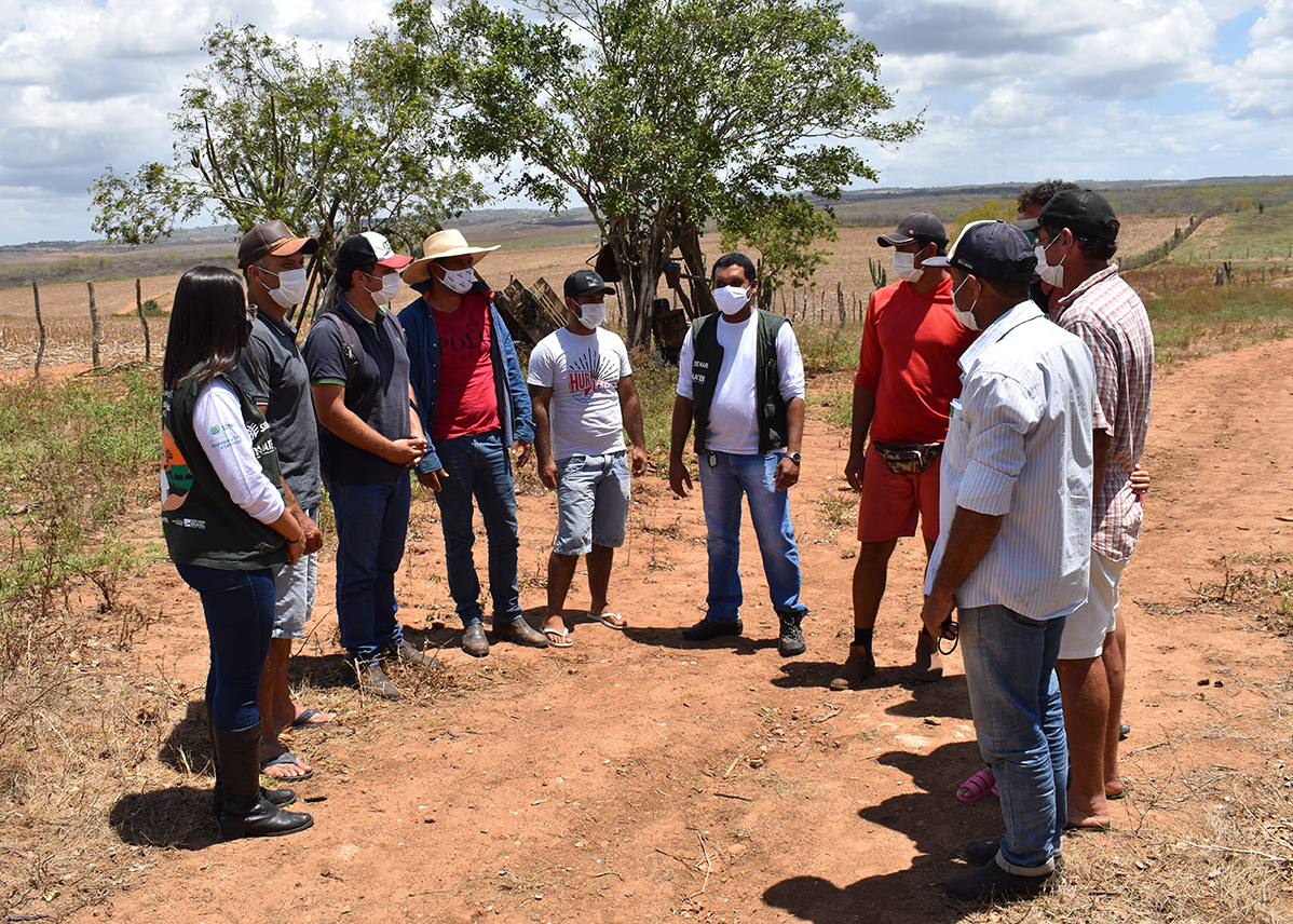 DIADECAMPO MANEJONUTRICIONAL