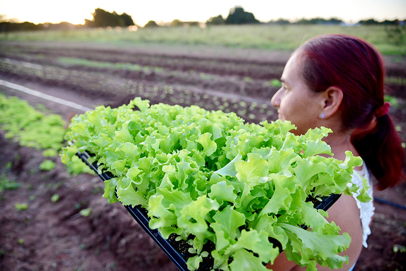 Dia da mulher produtora rural web