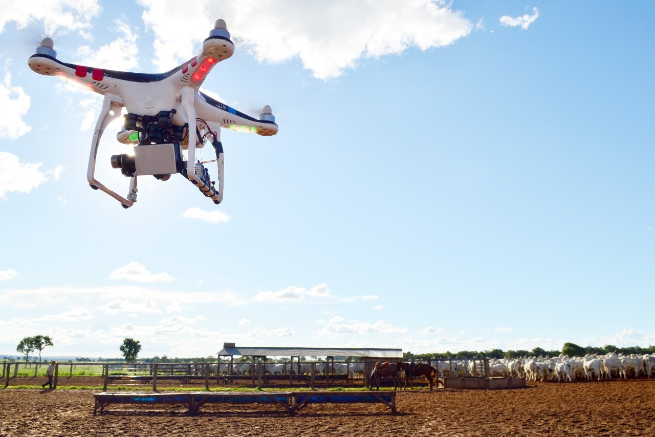 Drone Pecuaria Curso