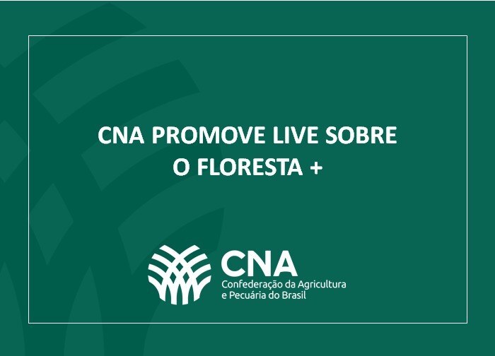 FLORESTA PSA