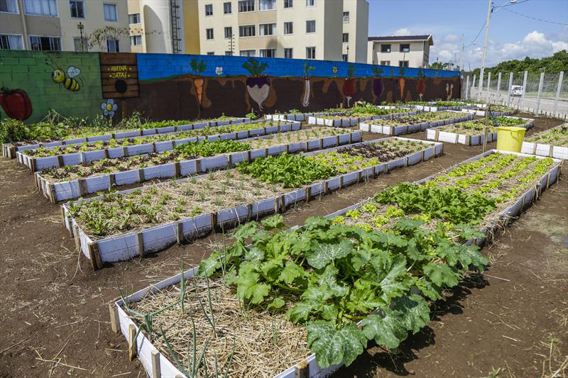 Fazenda Urbana