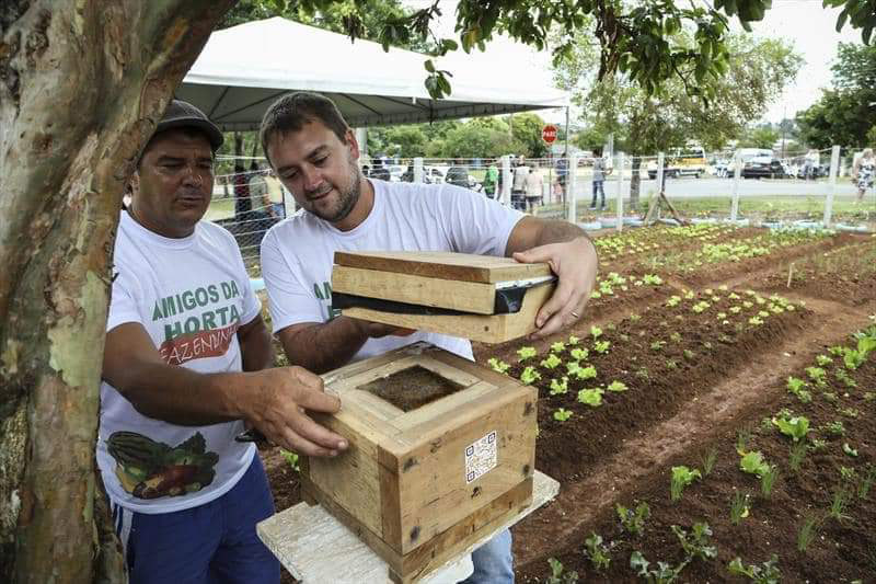 Fazenda Urbana3