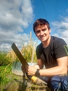 Foto Hoje Pesquisa em Arroz 2