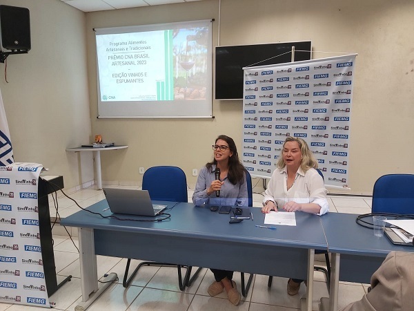 Letícia Fonseca lançou o prêmio durante a reunião da Câmara