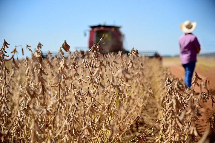 Maquinas Agriculas 2