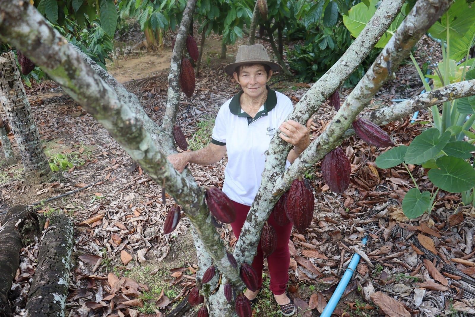 Maria Loss Produtora de cauca de Linhares