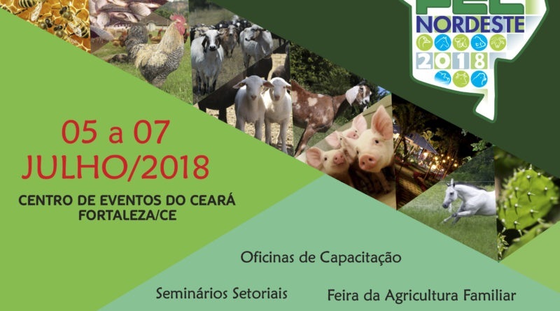 PECNORDESTE 2018 800x445