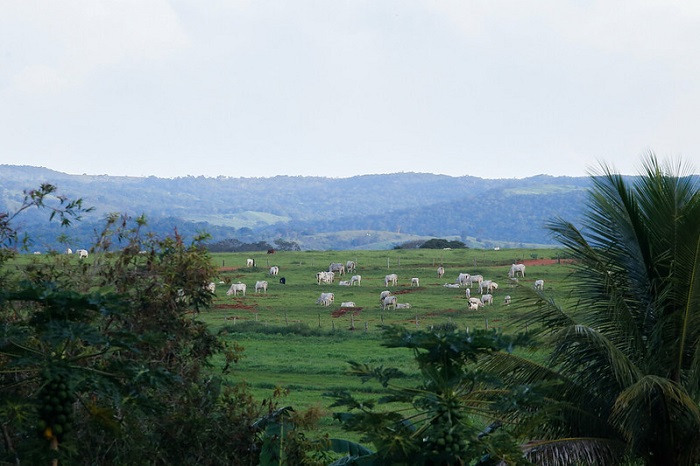 Paisagens Rurais foto Adriano Brito