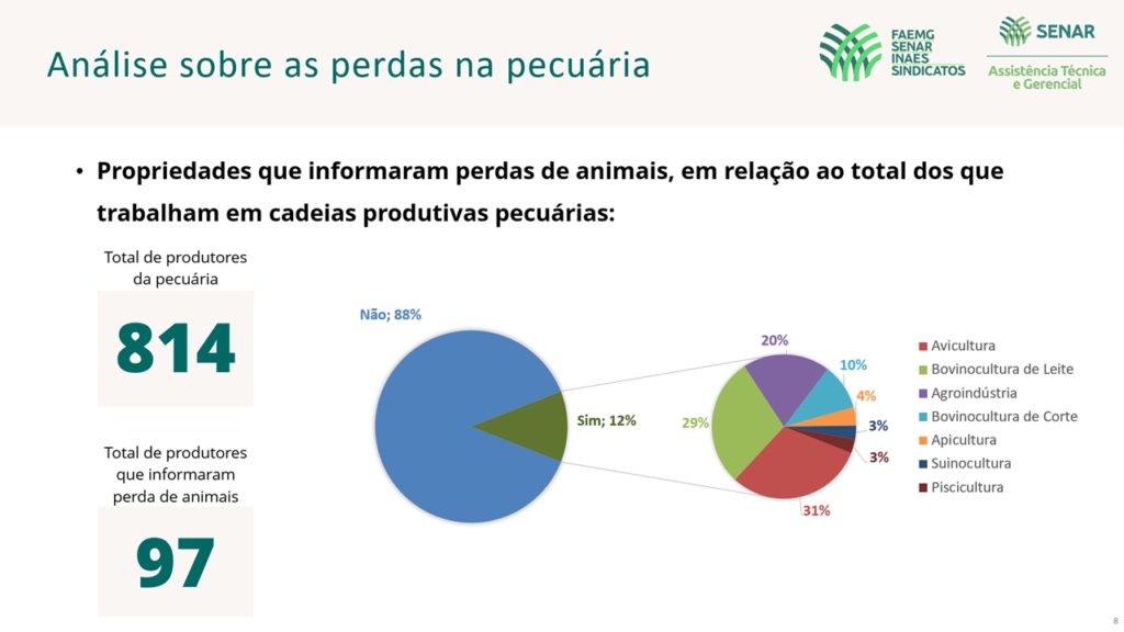 Perdas na pecuaria