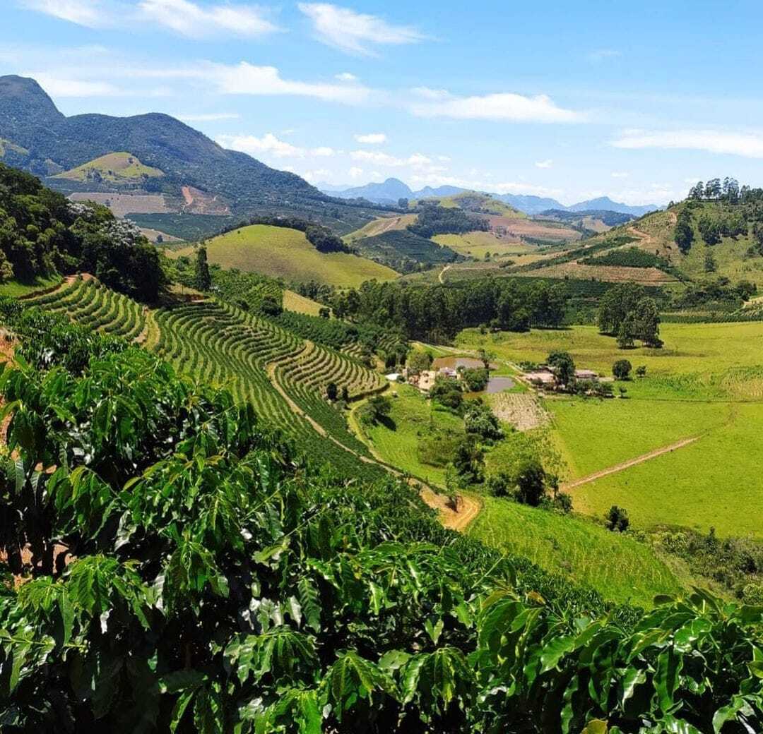 Propriedade de café na região das Matas de Minas, em Minas Gerais