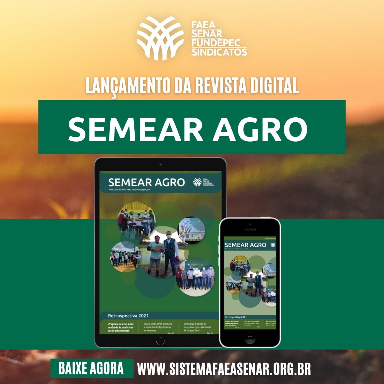 REVISTA SEMEAR AGRO