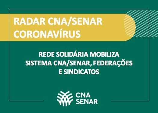 Rede Solidaria