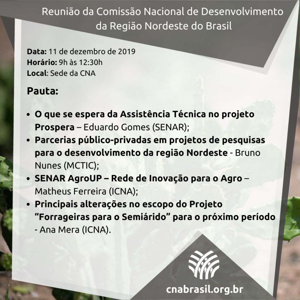 Reuni C3 A3o da Comiss C3 A3o Nacional Nordeste