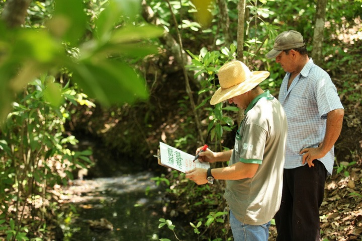 Sustentabilidade Educacao Meio Ambiente