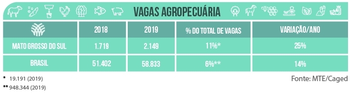 Tabela Info Site Famasul 5 Prancheta 1