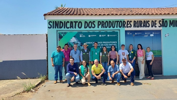 Painel de café robusta em Rondônia