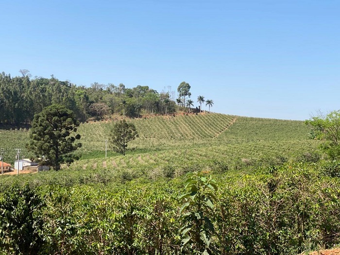 Propriedade Rural de Caconde onde foi realizada a visita técnica