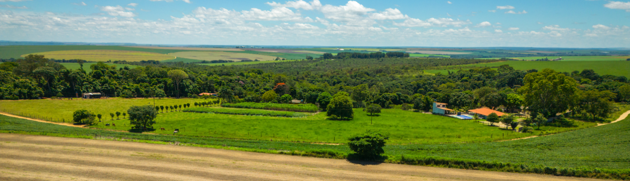 COP - Conferência das Nações Unidas sobre as Mudanças Climáticas