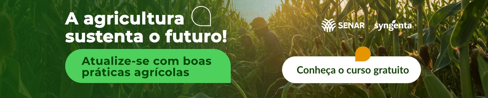 Imagem do banner rotativo