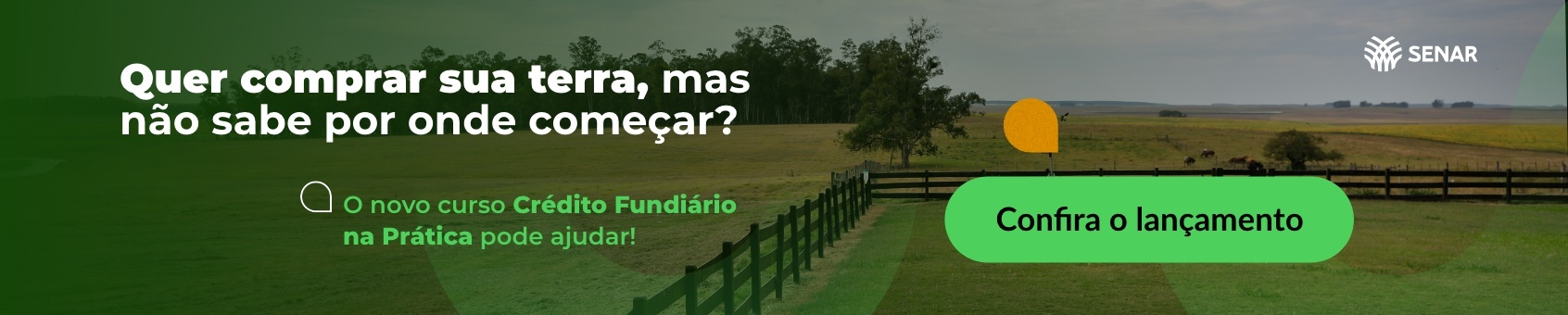 Imagem do banner rotativo