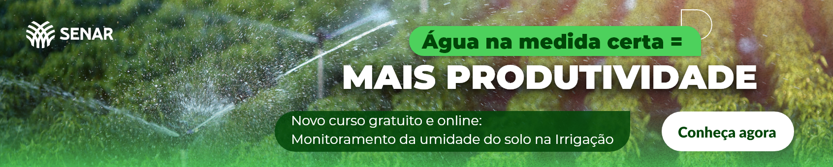 Imagem do banner rotativo