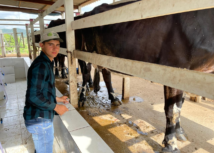 Agronordeste: Jovem produtor rural é referência na cadeia Bovinocultura de Leite
