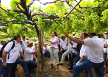 Missão Técnica Nordeste do Senar-MT conhece propriedades que são referências na produção de frutas