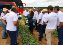 Missão Técnica Nordeste do Senar-MT termina após 5 dias de conhecimento sobre a fruticultura no Vale do São Francisco