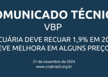 CNA divulga estimativa do Valor Bruto da Produção em 2024