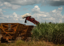 Para CNA, Paten reforça compromisso do agro com desenvolvimento sustentável