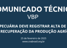 VBP da agropecuária deve registrar alta de 9,1% em 2025, com recuperação da produção agrícola