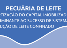 Amortização do capital imobilizado é determinante ao sucesso de sistemas de produção de leite confinado