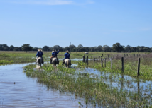 Fazenda Pantaneira Sustentável promove intercâmbio no Pantanal mato-grossense