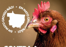 NOTA OFICIAL – Influenza aviária no Brasil