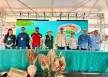 Dia de Campo em Colinas destaca avanços do Projeto Forrageiras para o Semiárido