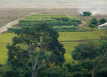 CT de Meio Ambiente debate mudanças no licenciamento ambiental e nas regras de uso do fogo