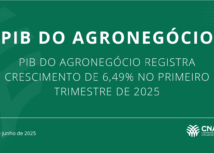 PIB do agronegócio registra crescimento de 6,49% no primeiro trimestre de 2025