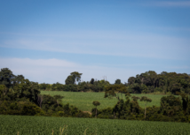 Cuidados que devem ser tomados ao adquirir uma propriedade rural