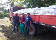 Produtores Rurais do Estado recebem quase 2 milhões e meio de sementes híbridas de cacau