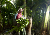 Muitas conquistas no campo são alcançadas com o auxílio da Contribuição Sindical Rural