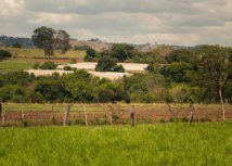 Faes inicia atendimento para Declaração do Imposto Territorial Rural