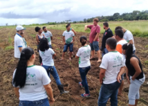 Curso Técnico em Agronegócio: alunos do polo Itaubal visitam fazenda produtora de batata