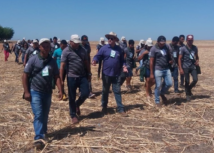 Dia de Campo mobiliza produtores em Baixa Grande do Ribeiro