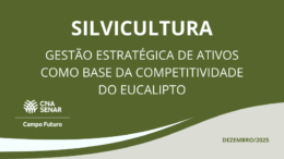 Gestão estratégica de ativos como base da competitividade do eucalipto