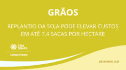 Replantio da soja pode elevar custos em até 7,4 sacas por hectare