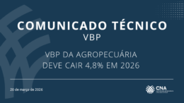 VBP DA AGROPECUÁRIA DEVE CAIR 4,8% EM 2026