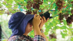 Concurso Fotográfico entra em nova fase